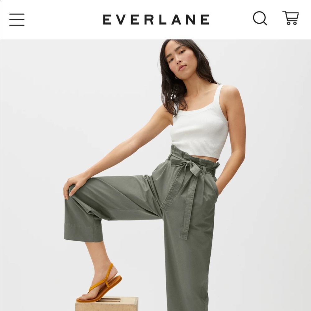 The paperback pant everlane thyme